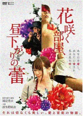 三三电影网资讯配图，修复版画幅对照与工作台